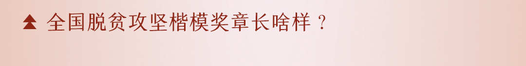 1614303061150867.png 2.png