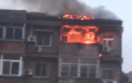 1614661088720095.gif 6.gif