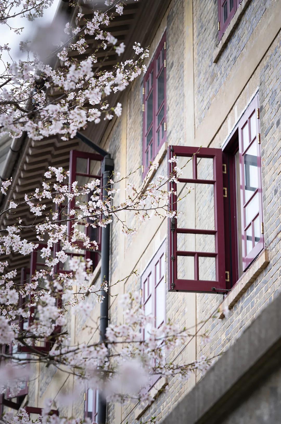 1615771851161918.jpg 5.jpg