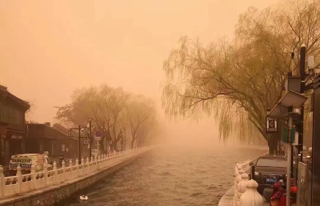 1615945369886160.jpg 5.jpg