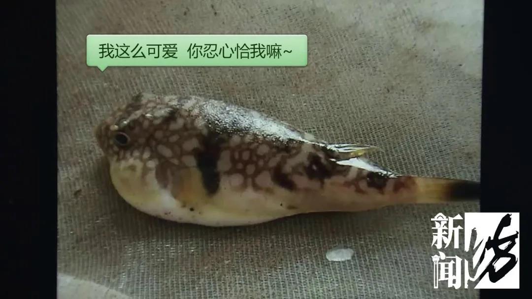 1616049489855221.jpg 5.jpg