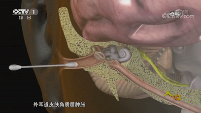 1616402303510585.gif 1.gif