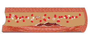 1617087555610790.gif 7.gif