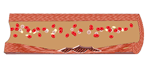 1617087602998468.gif 6.gif