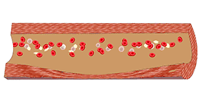 1617087616699635.gif 5.gif