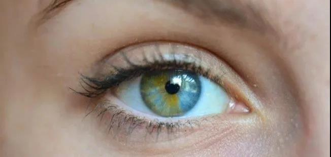 1621225903833575.jpg 3.jpg