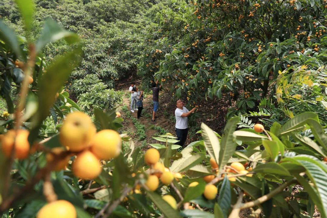 1621824217901970.jpg 3-1.jpg