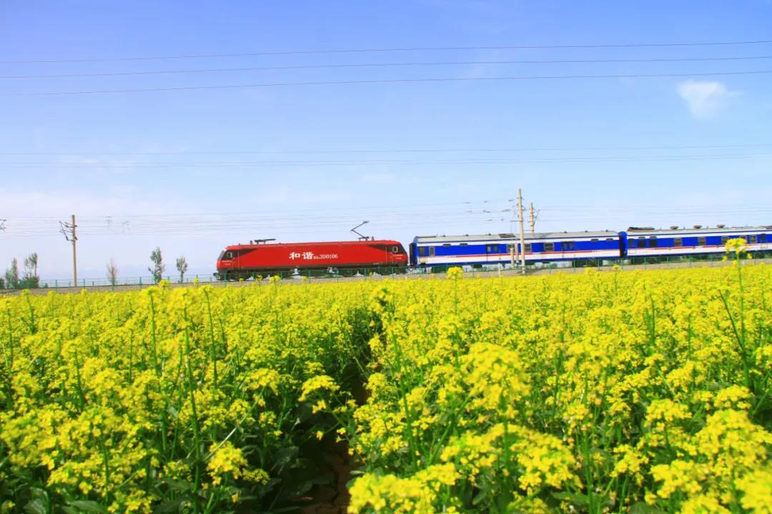 1621824228834109.jpg 4.jpg