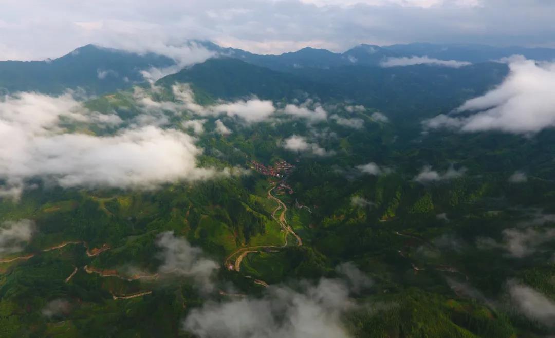 1621824240659200.jpg 5.jpg