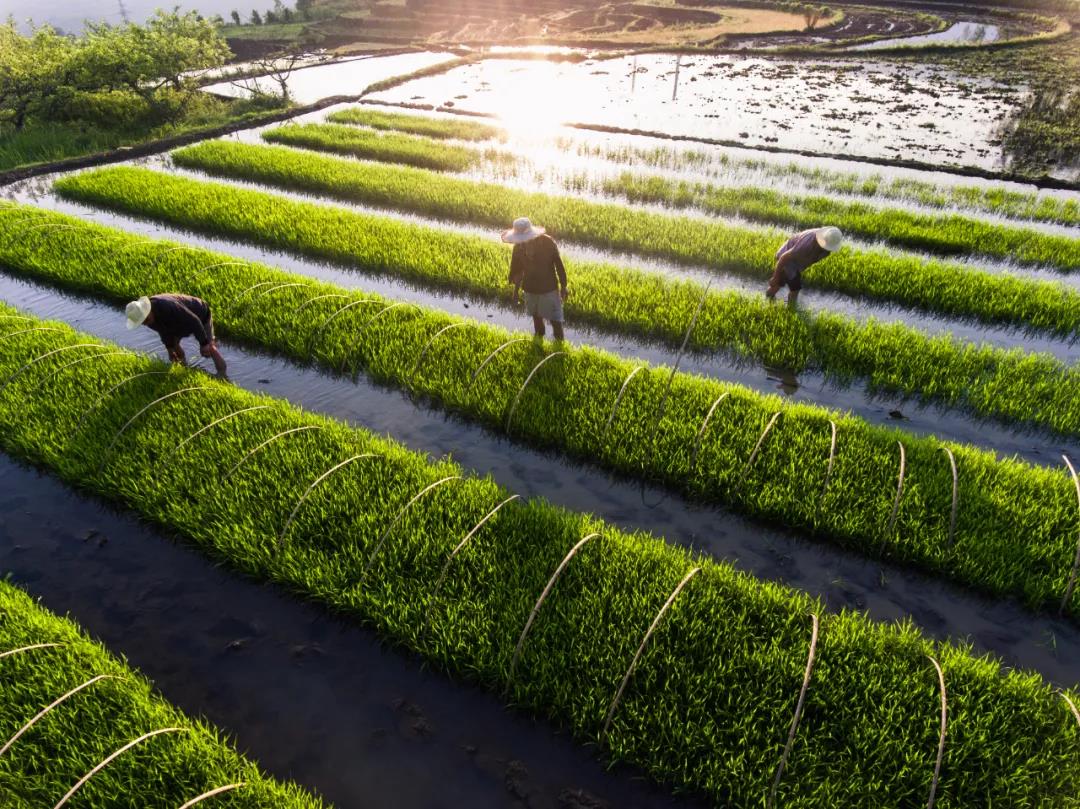 1621824253433645.jpg 7.jpg