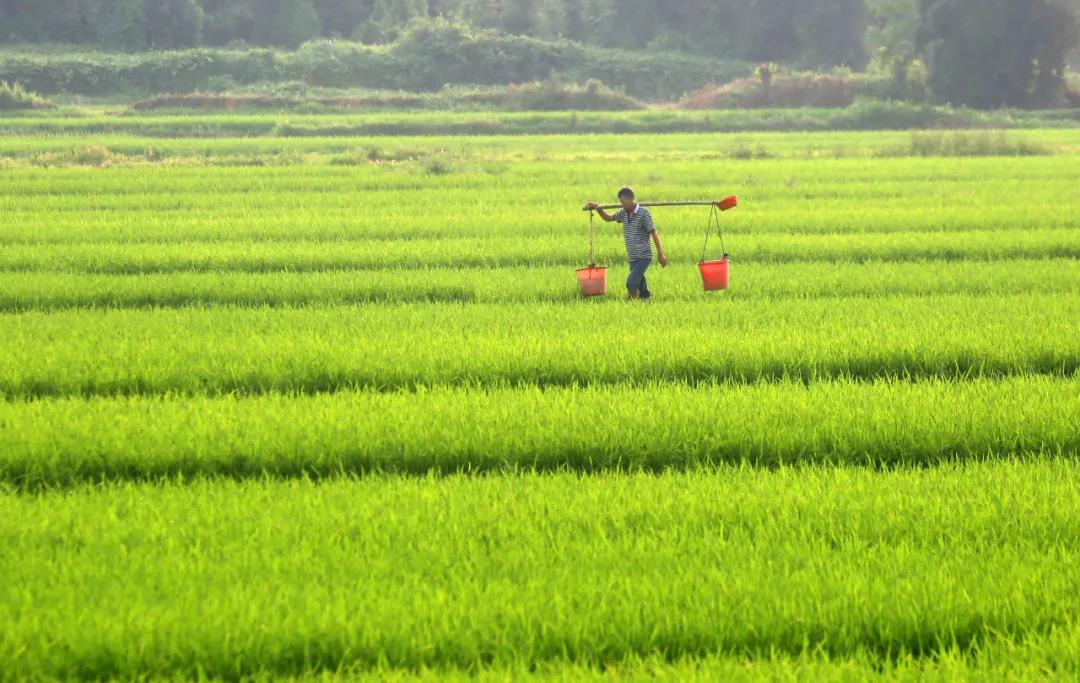 1621824264244452.jpg 8.jpg