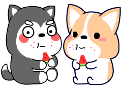 1622163851366994.gif 2.gif