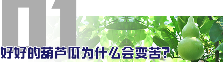 1622163918624372.png 6.png