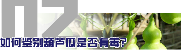 1622163948256404.png 8.png