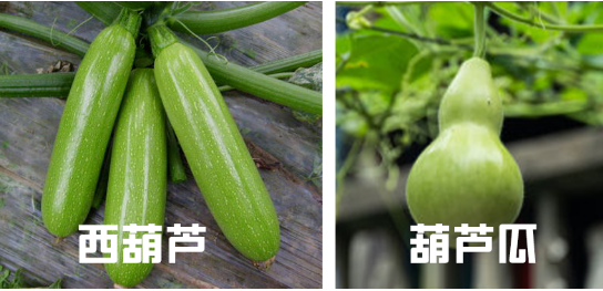 1622164018686830.png 11.png