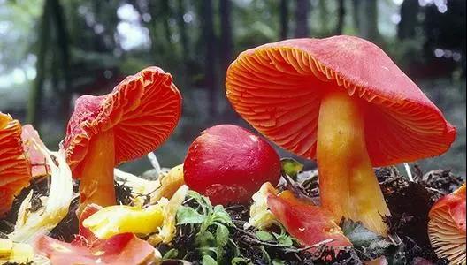 1622164120579109.jpg 19.jpg