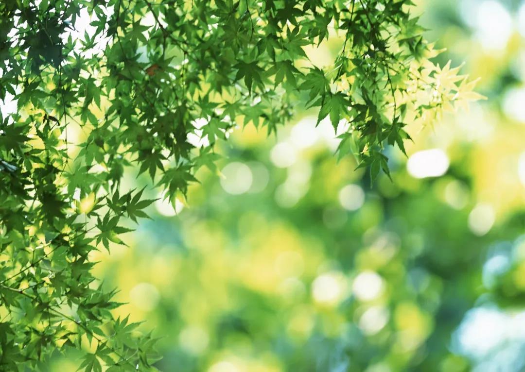 1623051403193620.jpg 1.jpg