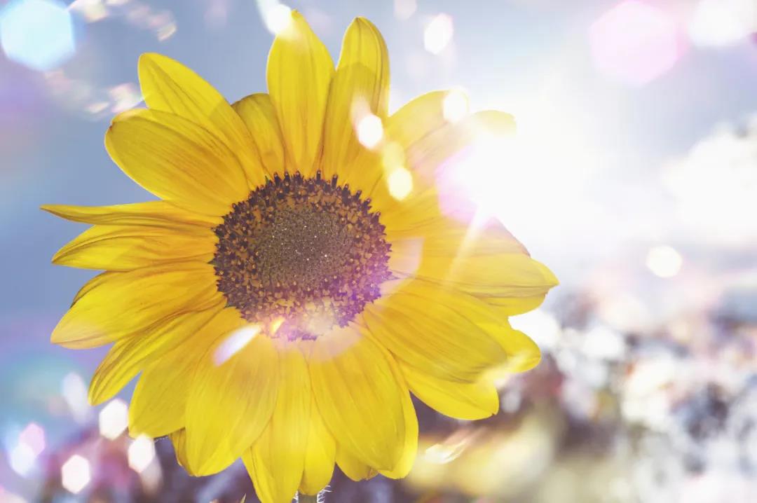 1623051460823571.jpg 4.jpg