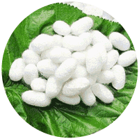 1624260431364948.gif 4.gif