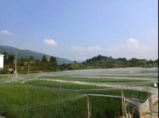 微信图片_20210810170409_副本.jpg