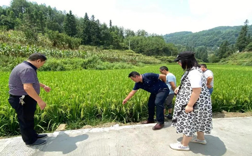 微信图片_20210812162903_副本.jpg