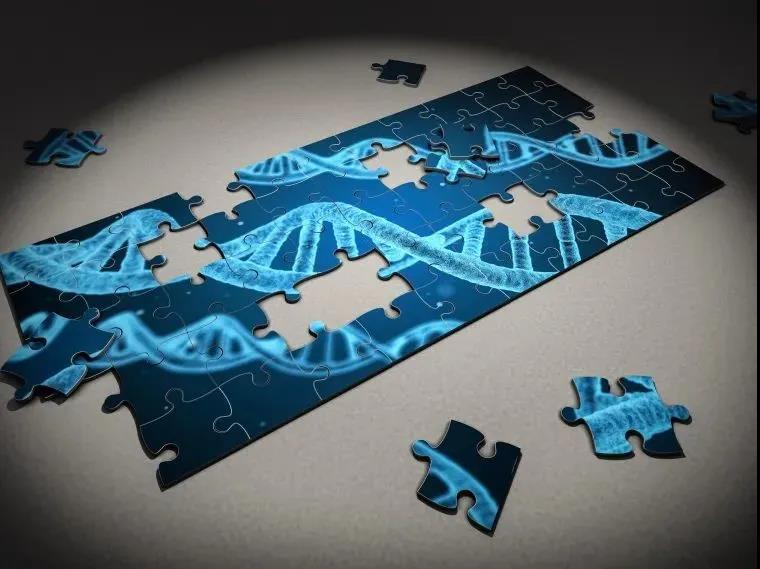 1636446835329322.jpg 1636446835329322.jpg