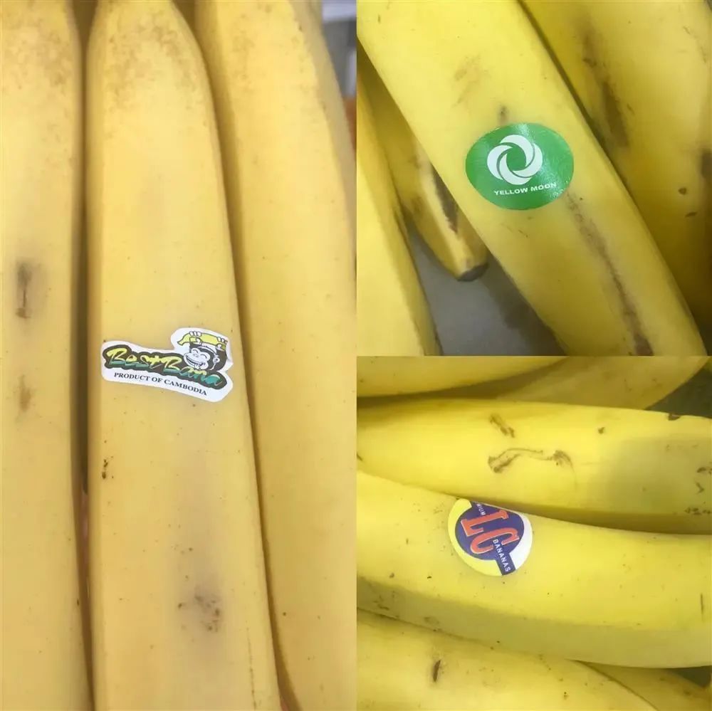 1637231661221462.jpg 1637231661221462.jpg