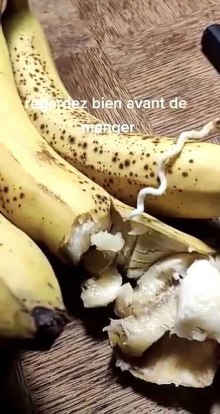 1637231736547579.jpg 1637231736547579.jpg