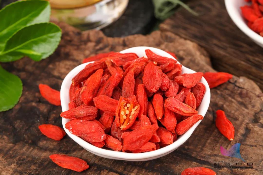 1637915915886179.jpg 1637915915886179.jpg