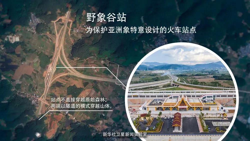 1638786165739071.jpg 06.jpg