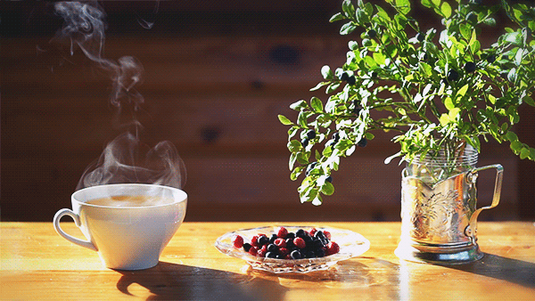 1639106871455895.gif 1639106871455895.gif