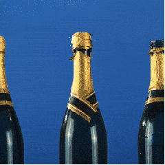 1639106916747353.gif 12.gif