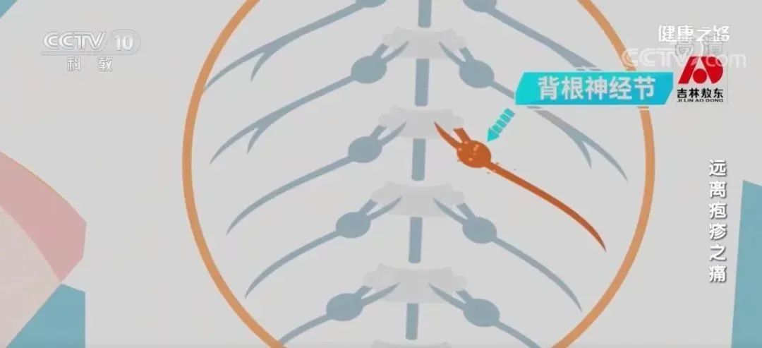 1657248596383615.jpg 8.jpg