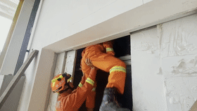 1658825226658171.gif