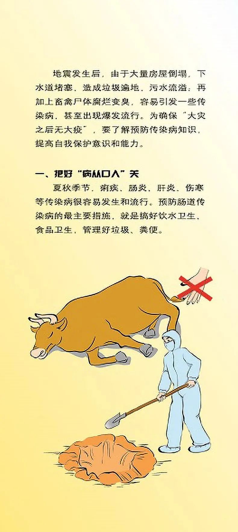 1668136125800386.jpg 02.jpg