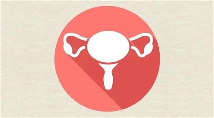 1698892706920409.jpg 微信图片_20231102103445.jpg