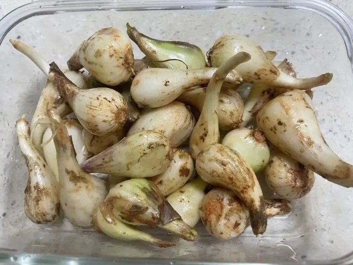 1724377922468845.jpg 640_副本.jpg