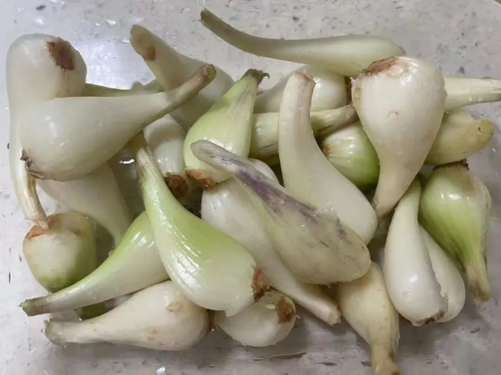 1724377973295829.jpg 640 (1)_副本.jpg