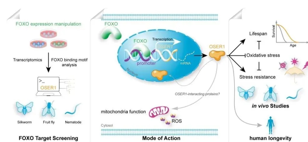 1724993850919057.jpg MEITU_20240830_125721119.jpg