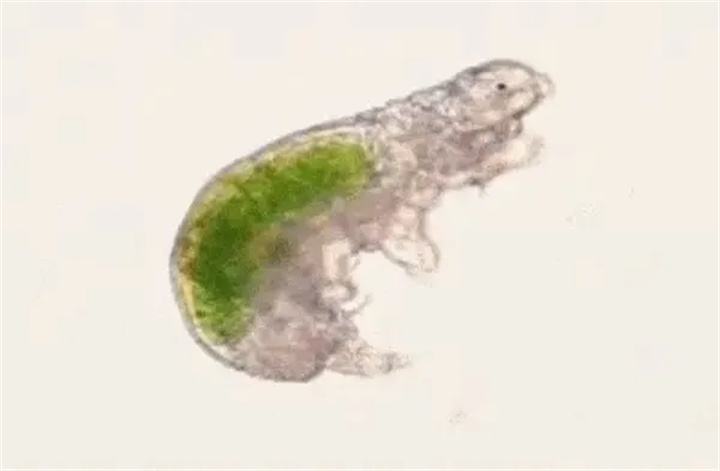 1725511271887383.jpg 640 (7).jpg