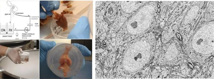 1725511326960687.jpg 640 (4).jpg