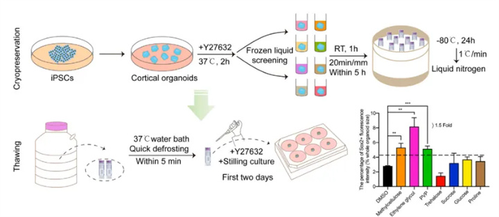 1725511341645311.jpg 640 (3).jpg