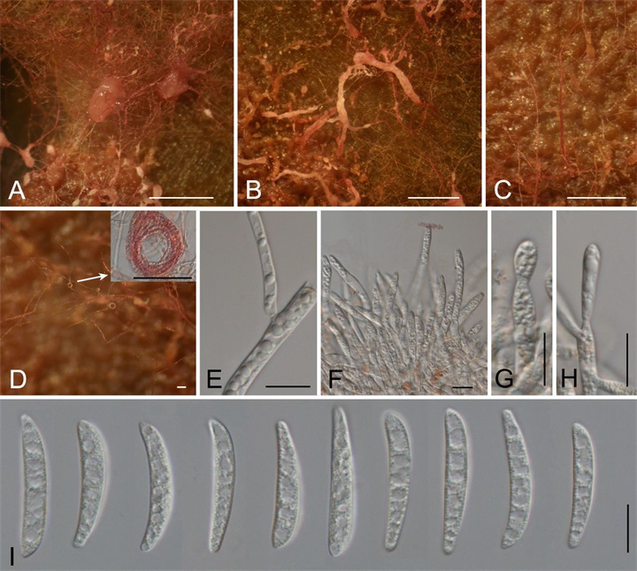 1727588347355316.jpg 91.jpg