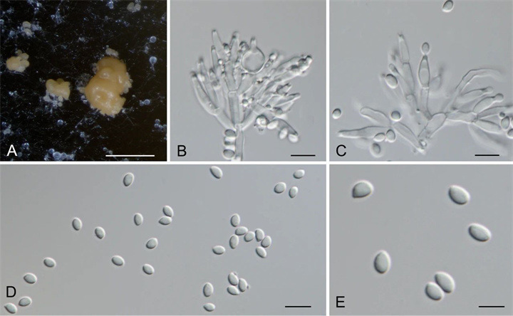 1727588356760600.jpg 92.jpg