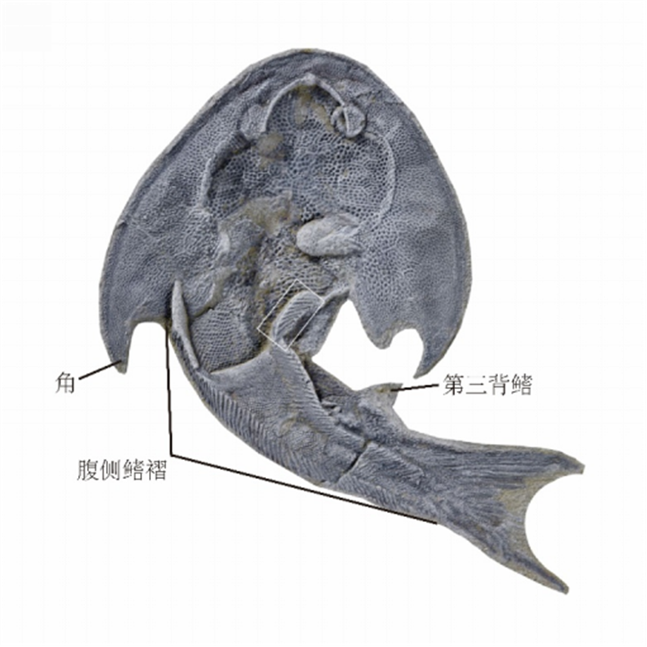 1728530622187929.png 12.png