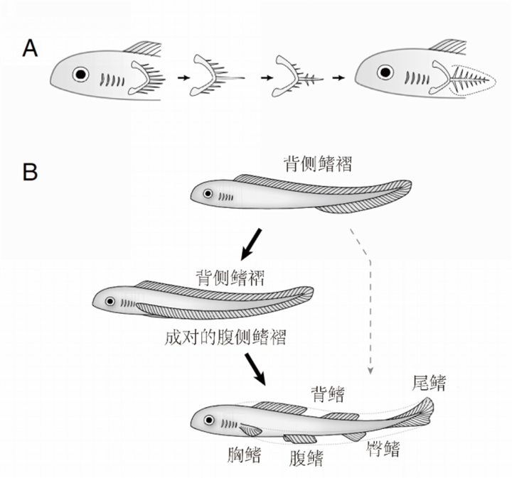 1728530644673861.png 13.png