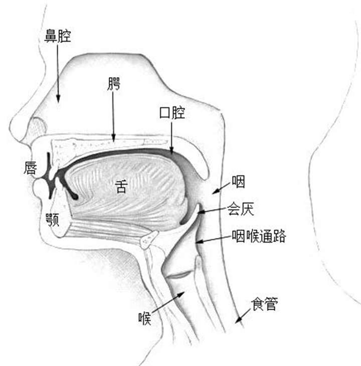 1728530990100283.jpg 15.jpg