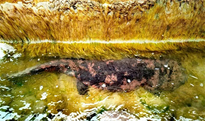 1728535640753210.jpg 42.jpg