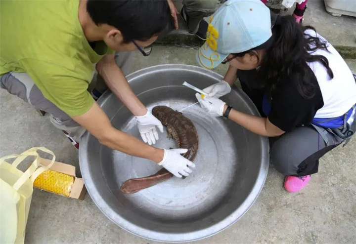 1728535670216201.jpg 44.jpg