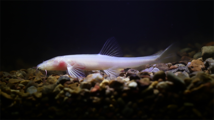 1728882482620288.png 微信图片_20241014130731.png